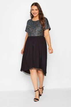 LIMITED COLLECTION Curve Black Glitter Mesh Dress